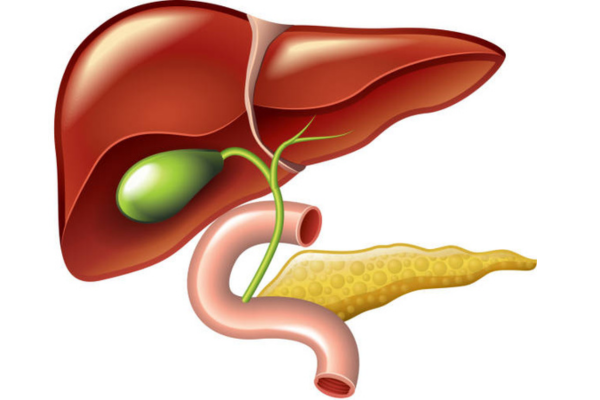 Laparoscopic Cholecystectomy
